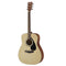 Acoustic Guitar
