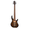 Bass Guitars