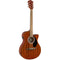 Electro Acoustic Guitars