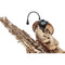 All Winds Instruments