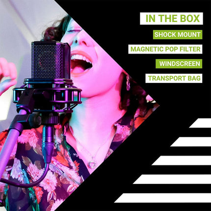 Lewitt LCT 441 FLEX Large-Diaphragm Condenser Microphone - Image 13