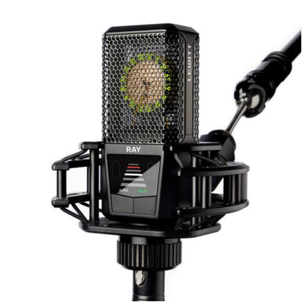 Lewitt Ray Large Diaphragm Condenser Microphones - Image 4