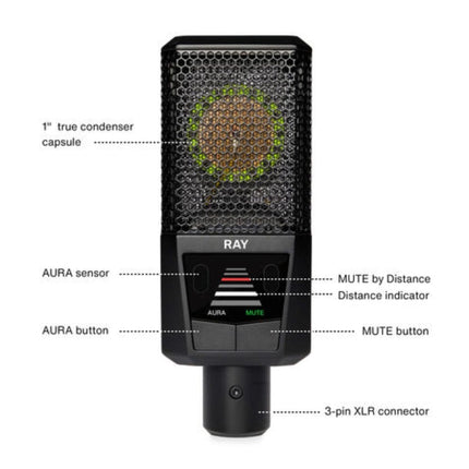 Lewitt Ray Large Diaphragm Condenser Microphones - Image 6